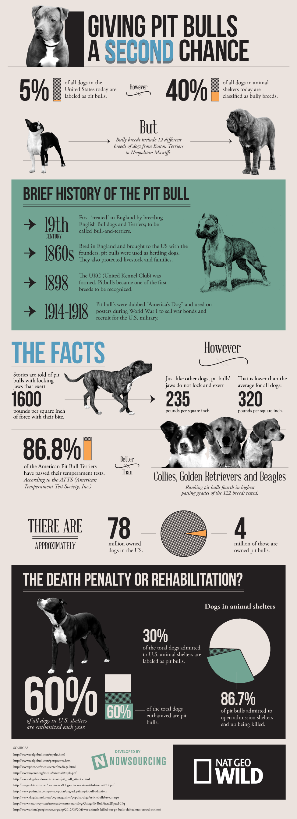 The facts about pit bulls