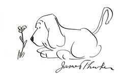 James Thurber dog cartoon