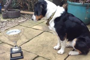 Barney with his "Most Improved Dog" trophy (photo by Vic Barlow)