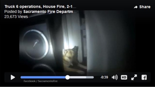 Fire video screen shot