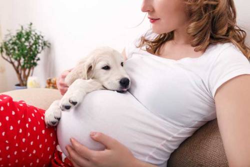 pregnant woman with dog